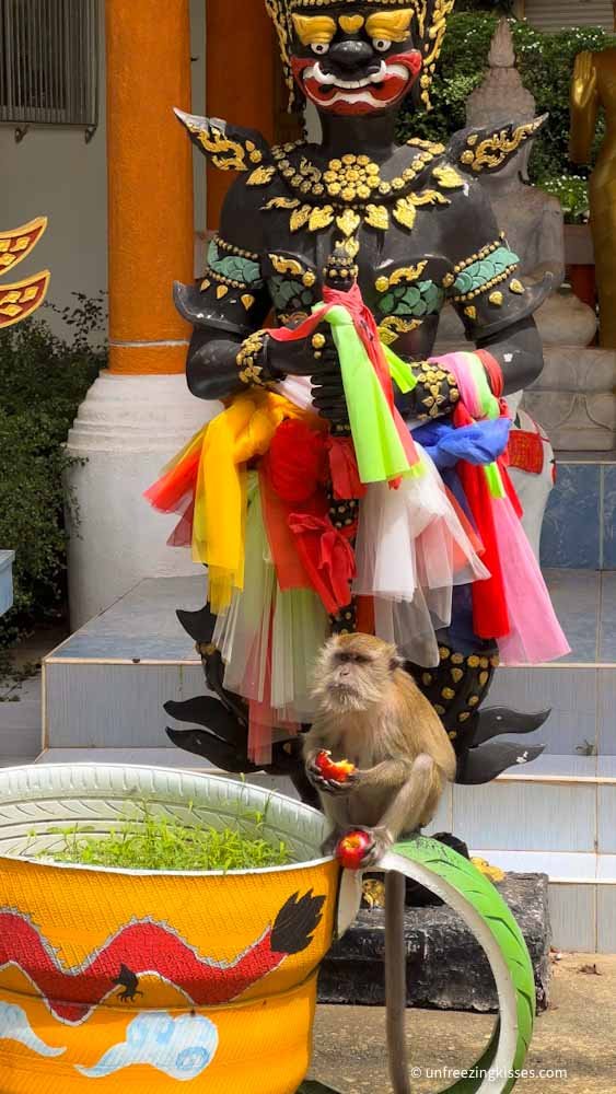Monkey and Tiger Cave Temple Krabi