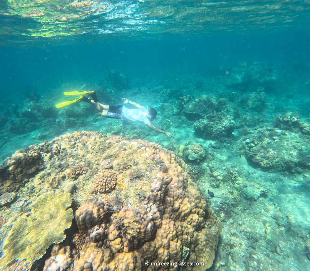 A man snorkeling in Amed Bali 