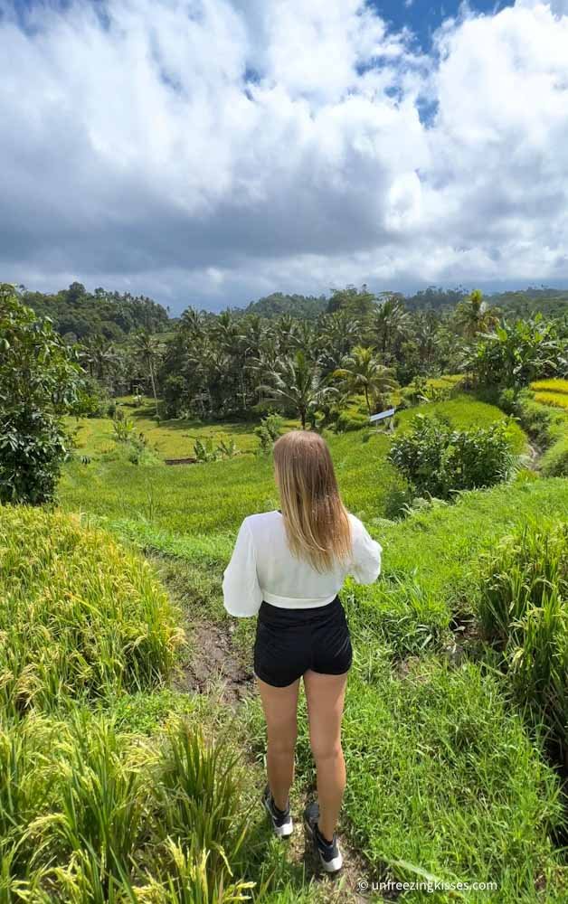 A woman in the Sidemen rice fields Bali