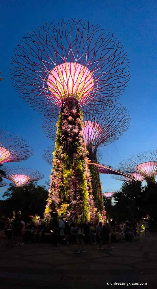 Gardens by the Bay Singapore