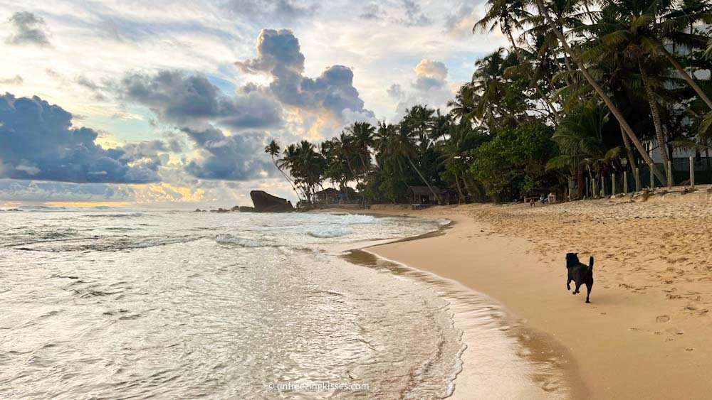 Dalawella beach Unawatuna Sri Lanka