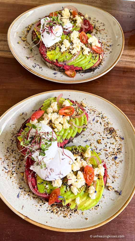 avocado toasts in a restaurant in Weligama, Sri Lanka