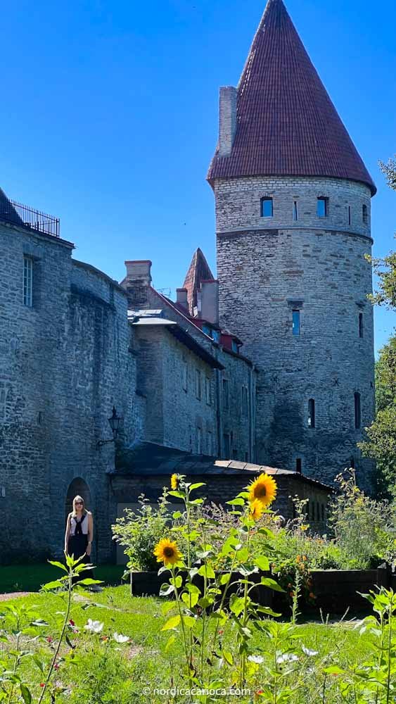 Tallinn old town walls.