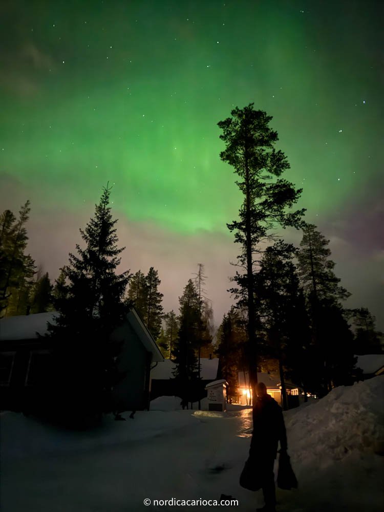 Northern lights