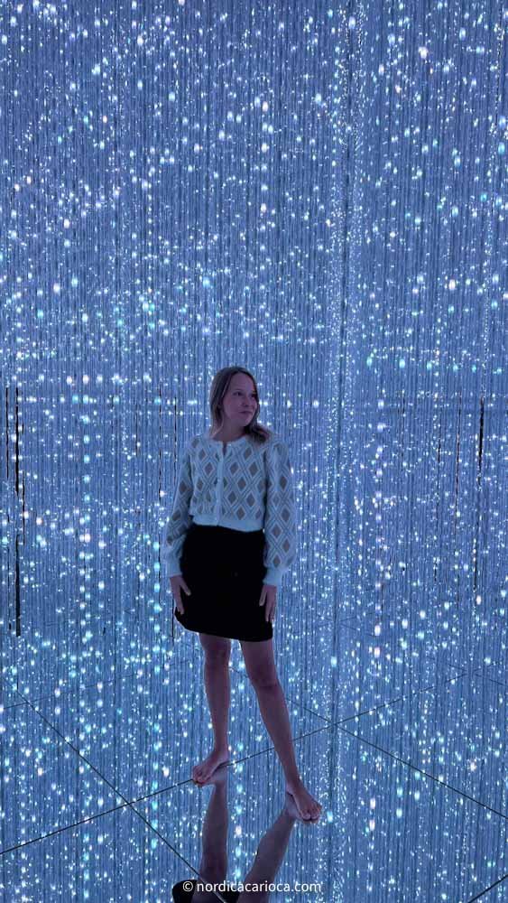 4-day Tokyo Itinerary: TeamLab