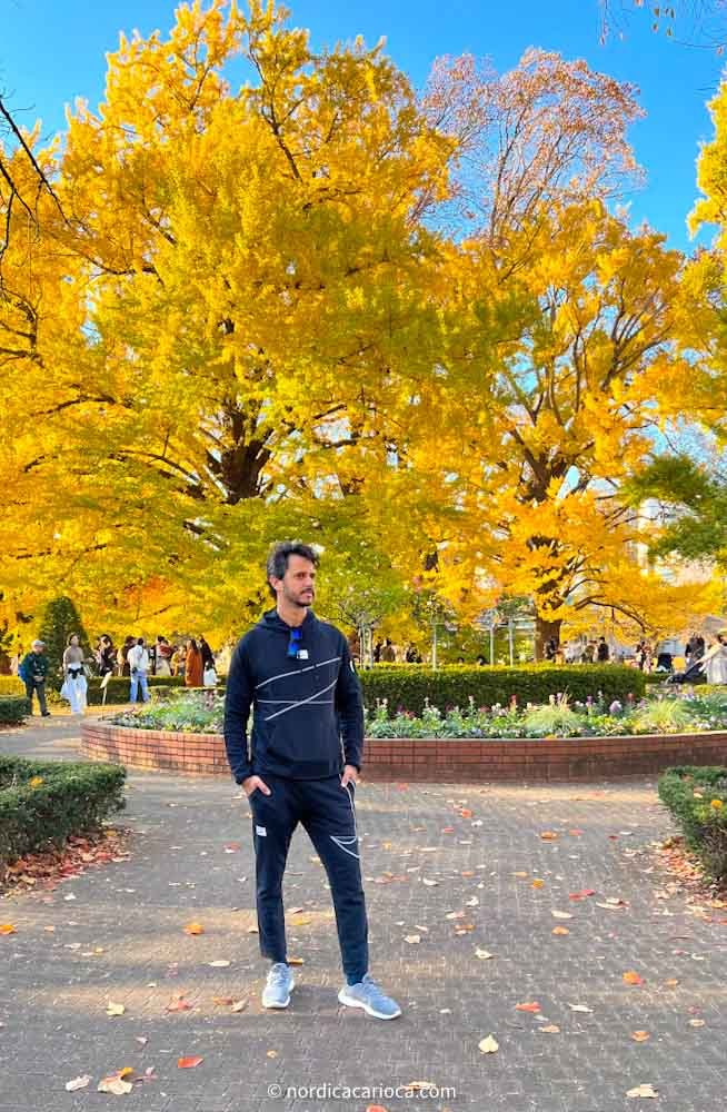Fall vibe at Shinjuku Gyoen National Garden in Tokyo, Japan