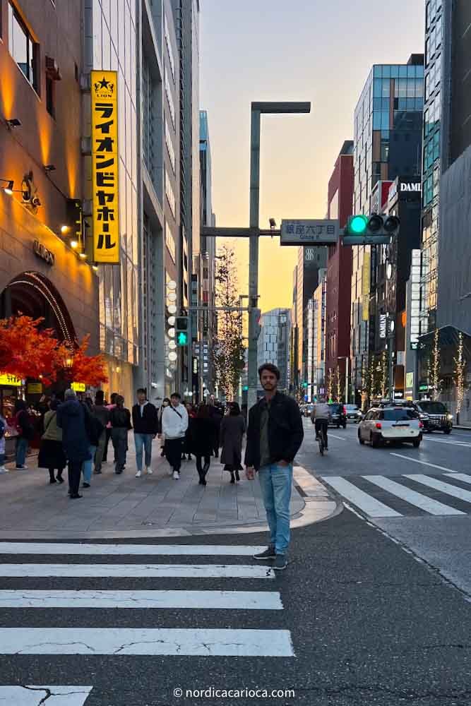 Ginza area Tokyo