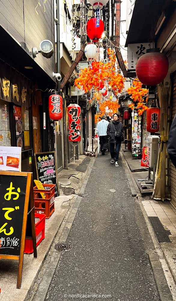 Omoide Yokocho Tokyo Japan