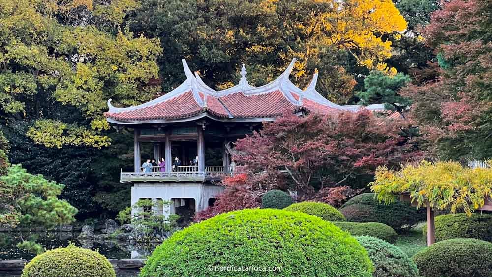 Fall vibe at Shinjuku Gyoen National Garden in Tokyo, Japan